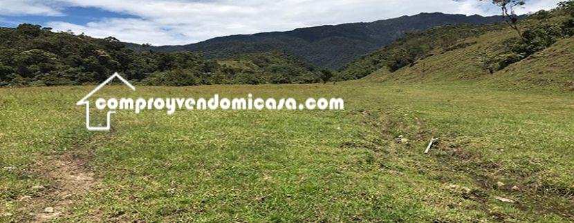 Finca productiva de Aguacate Hass en venta