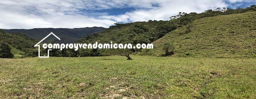 Finca productiva de Aguacate Hass en venta