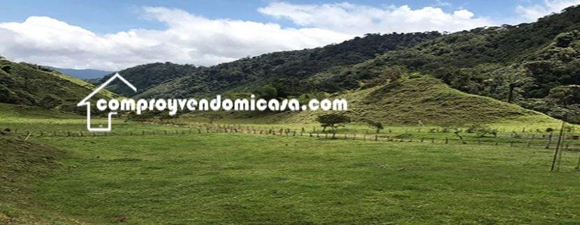 Finca productiva de Aguacate Hass en venta