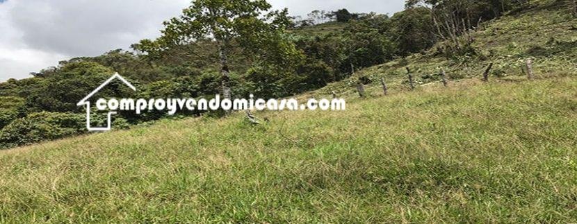 Finca productiva de Aguacate Hass en venta