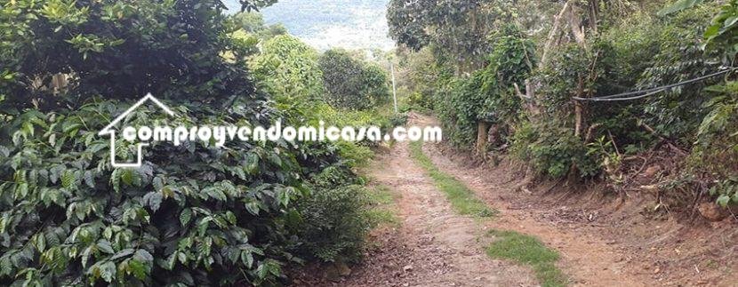 Finca en venta Silvania Cundinamarca - Arboles