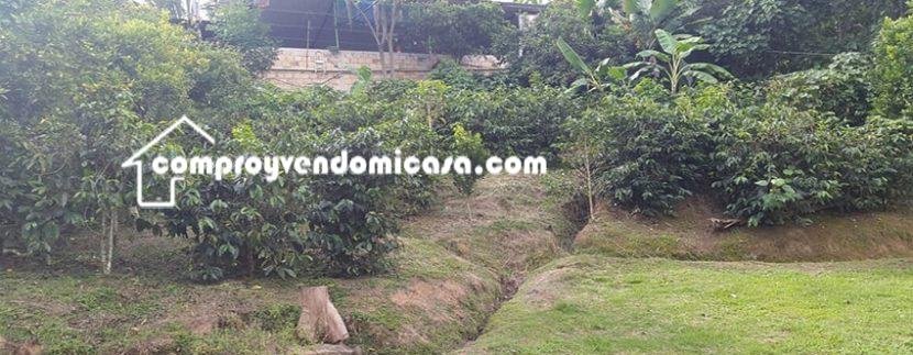 Finca en venta Silvania Cundinamarca -arboles