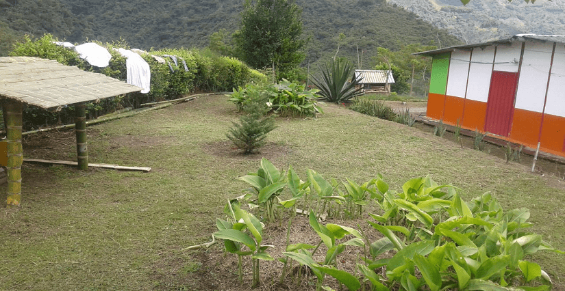 Finca en venta Salamina Caldas