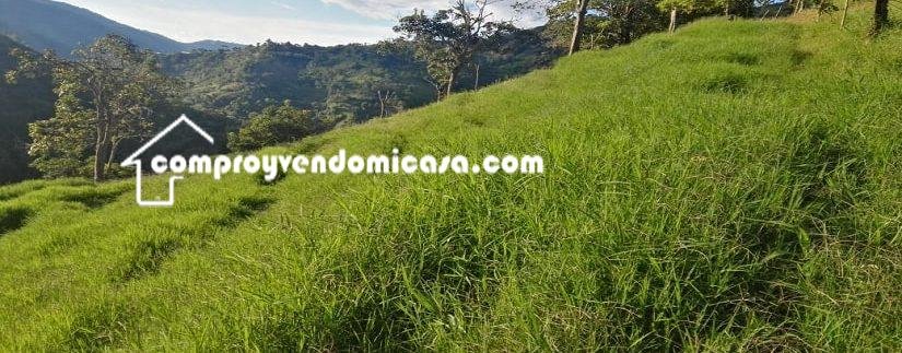 Finca en venta Salamina Caldas-casa y potreros