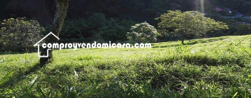 Finca en venta Salamina Caldas-potreros