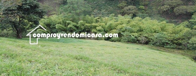 Finca en venta Salamina Caldas-potreros2