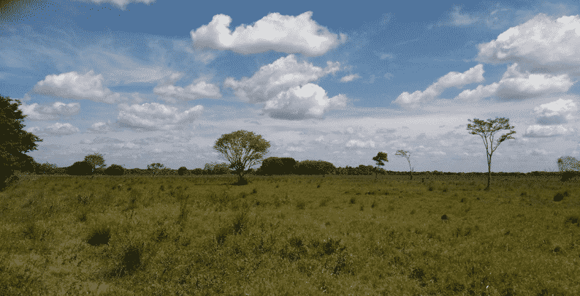 Finca ganadera en Casanare en venta